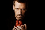 Download Free House MD Windows 7 Theme Download Free House MD Windows 7 Theme