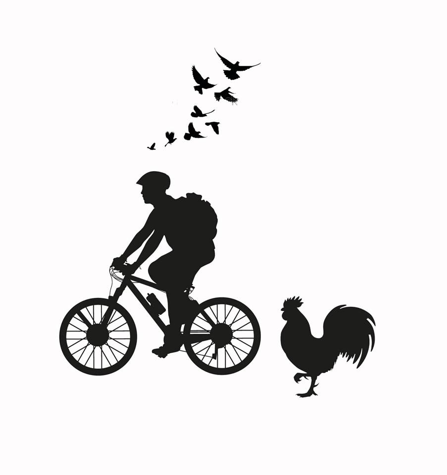 איש, אופניים, תרנגול