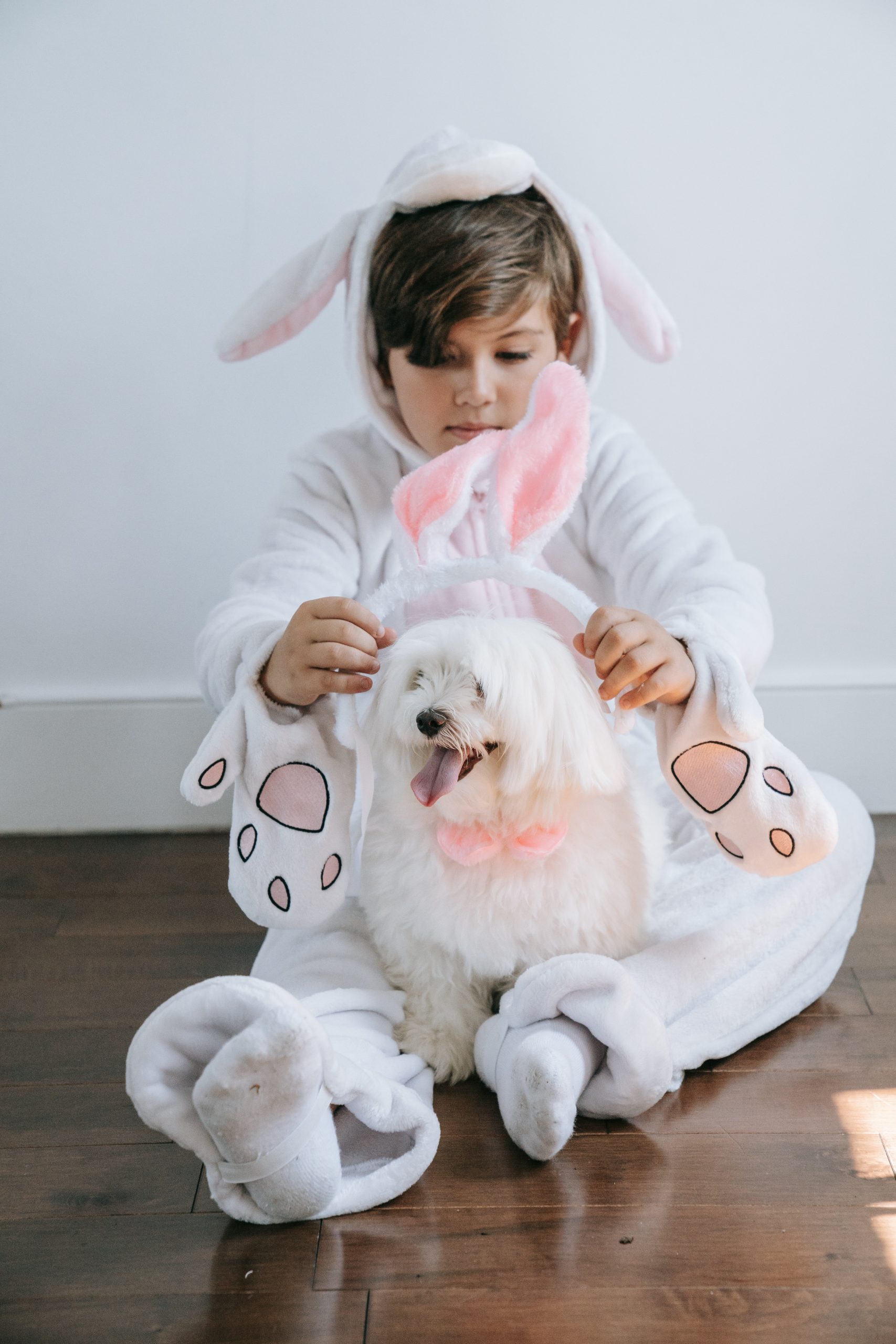 ילד עם לבוש של ארנב מניח אוזני עכבר על כלב שיושב בין רגליו