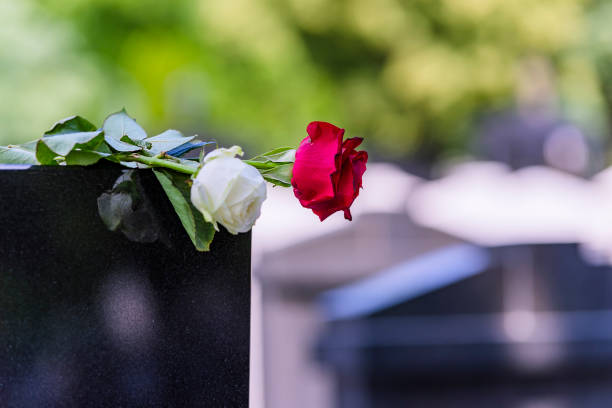 ורד אדום ו-ורד לבן מונחים על קצה של מצבת אבן, ברקע עוד קברים ועץ ירוק